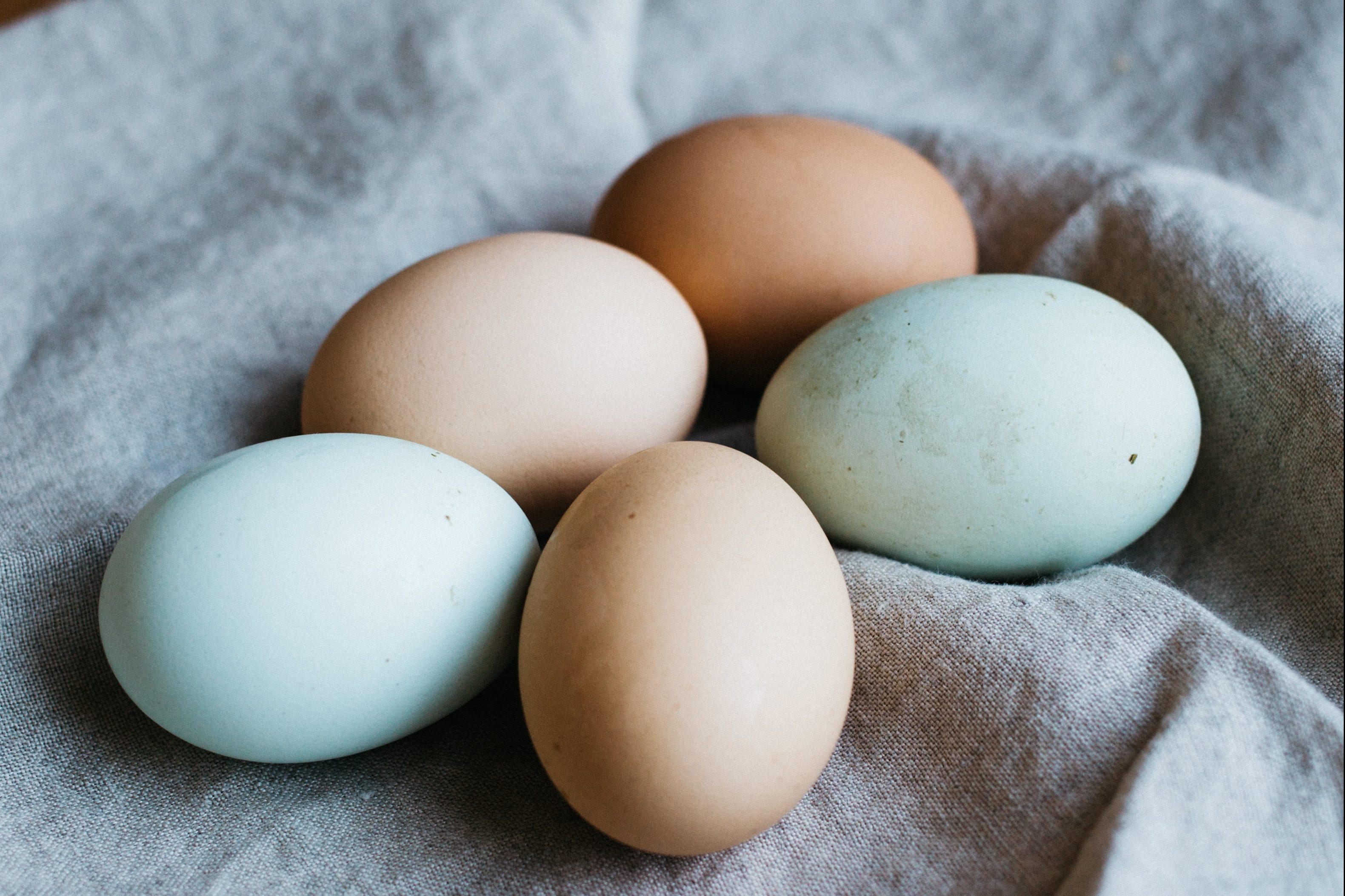 Красивые молодые яйца. Яйцо куриное. Домашние яйца. Домашние куриные яйца. Яйцо домашнее куриное.