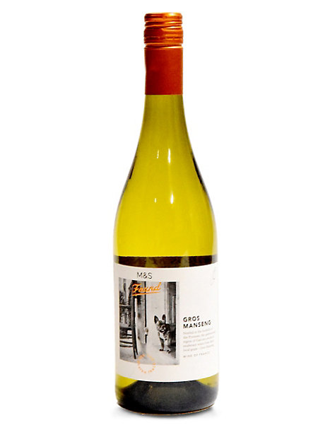Bottle of